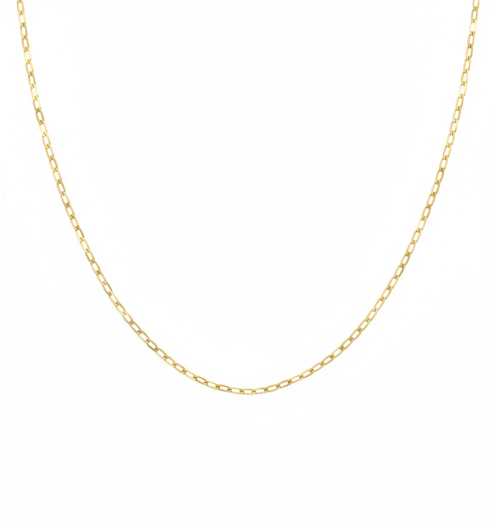 10k Gold 2mm Flat Curb Chain + charm 18"
