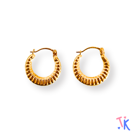 10k Yellow Gold Hoop Earrings